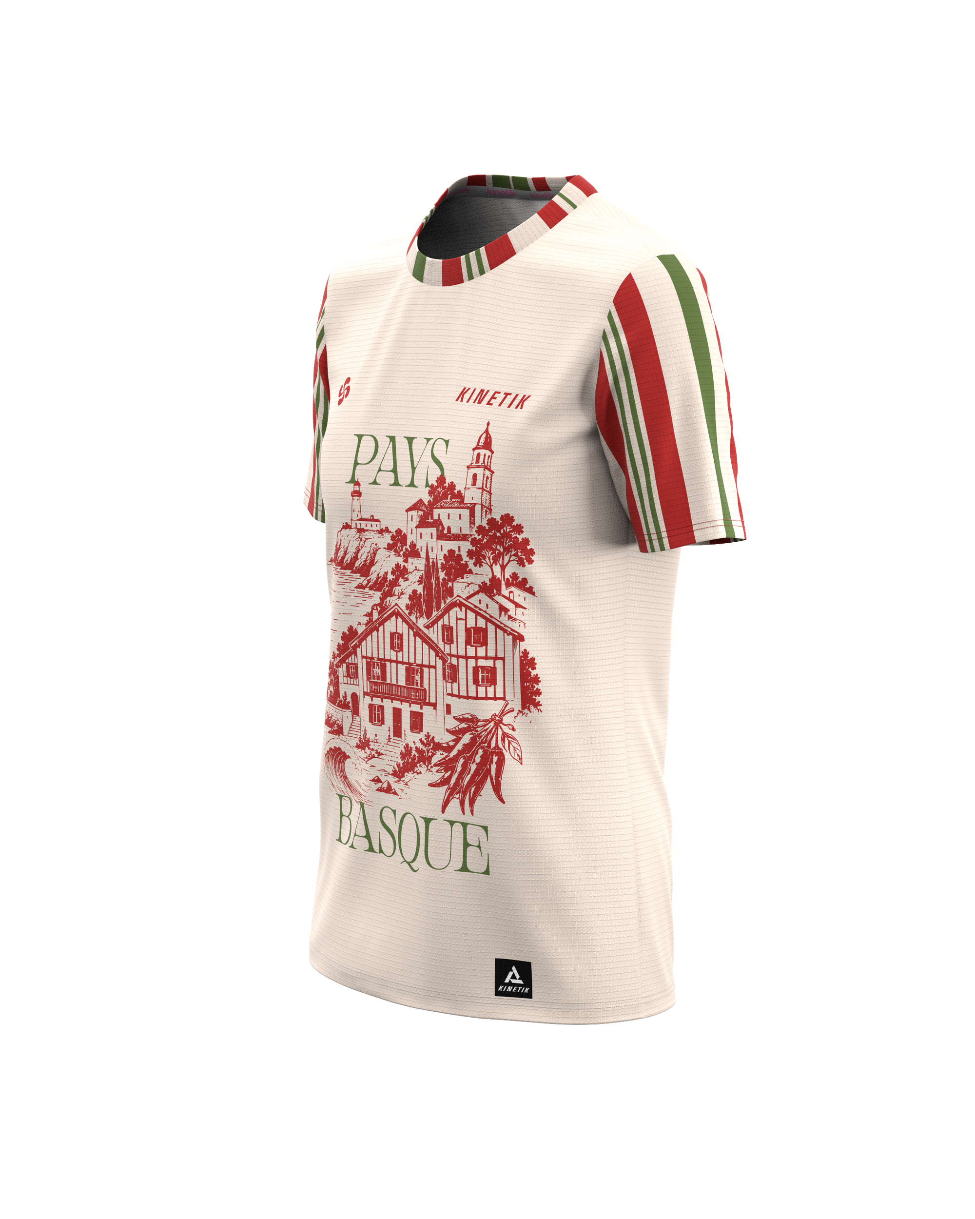 FALKON PAÍS VASCO PAISAJE