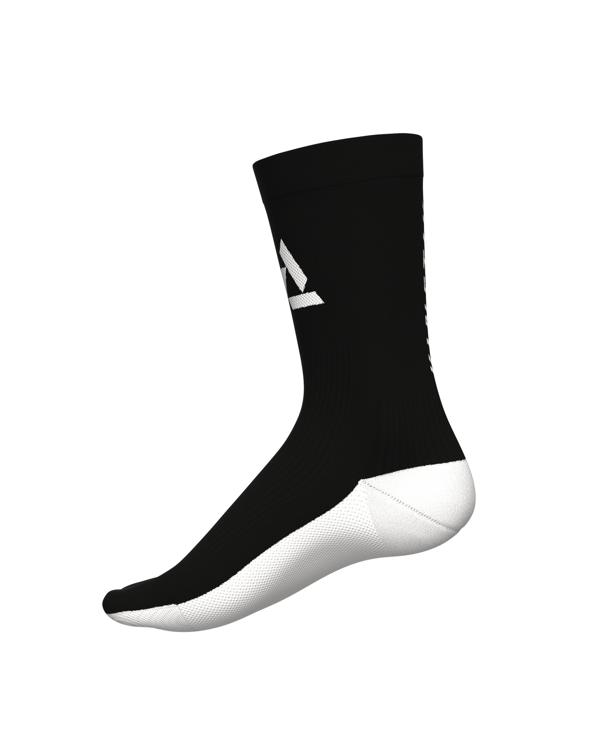 ALL TRACKS MOTION MOONLESS