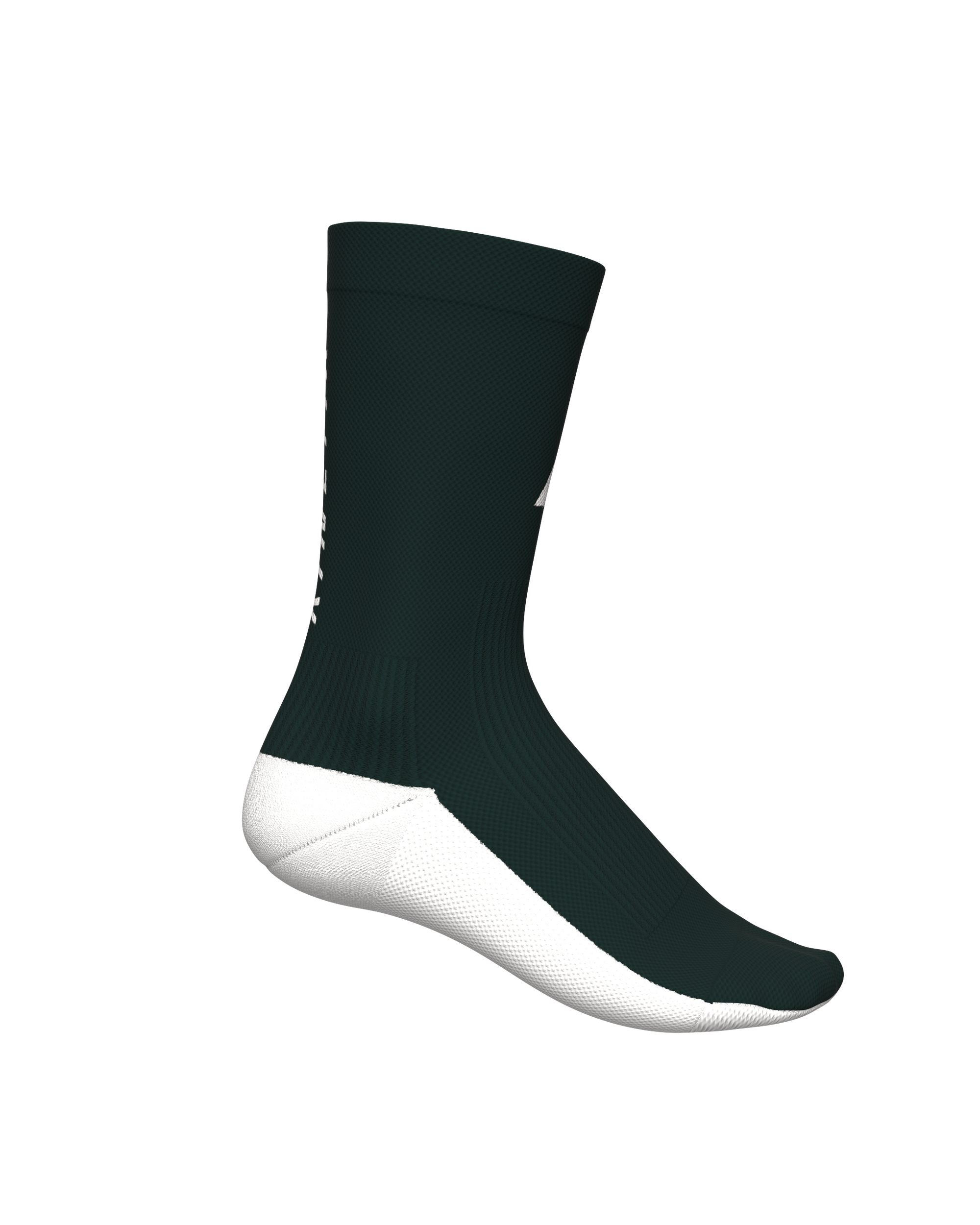 ALL TRACKS MOTION FOREST