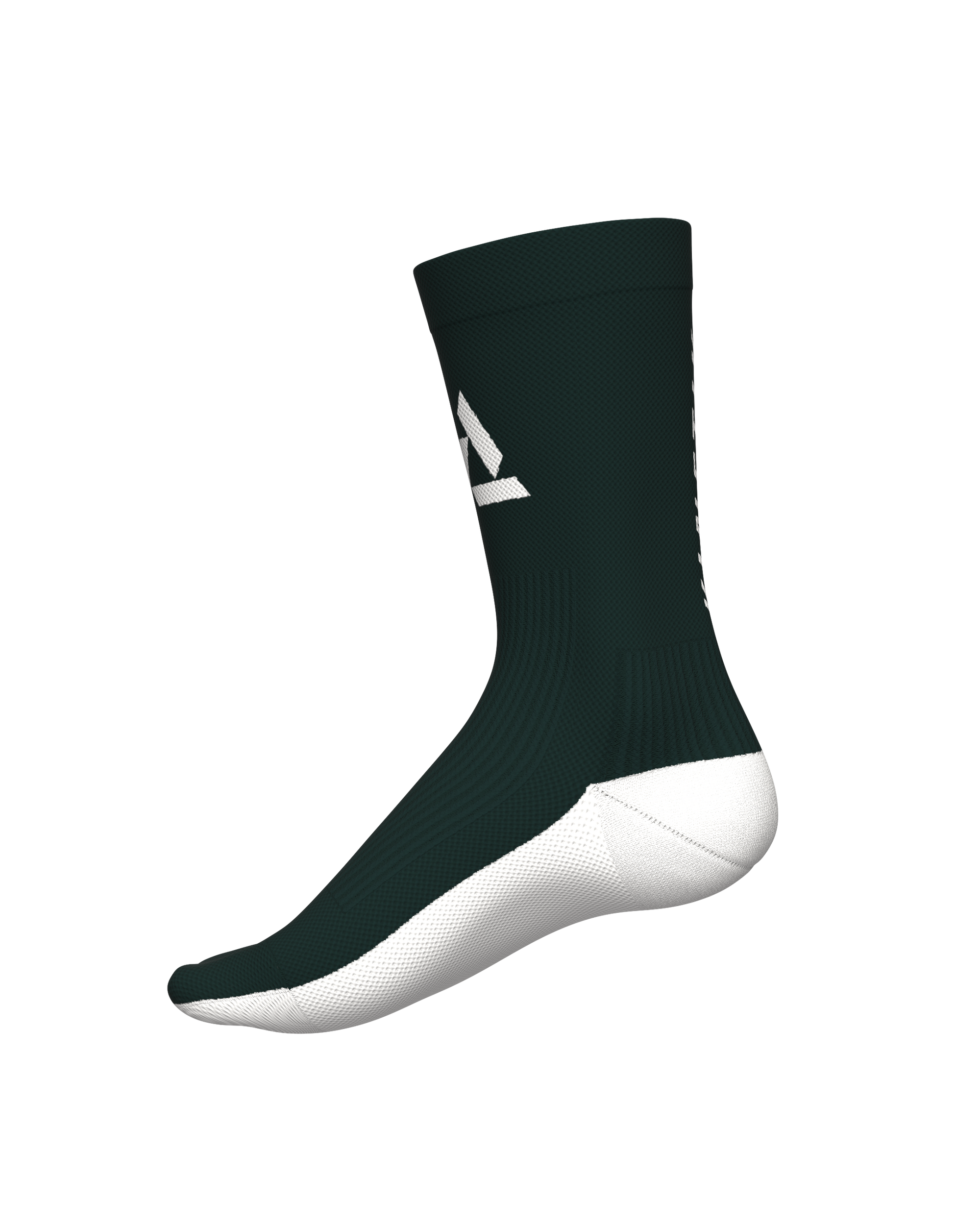 ALL TRACKS MOTION FOREST