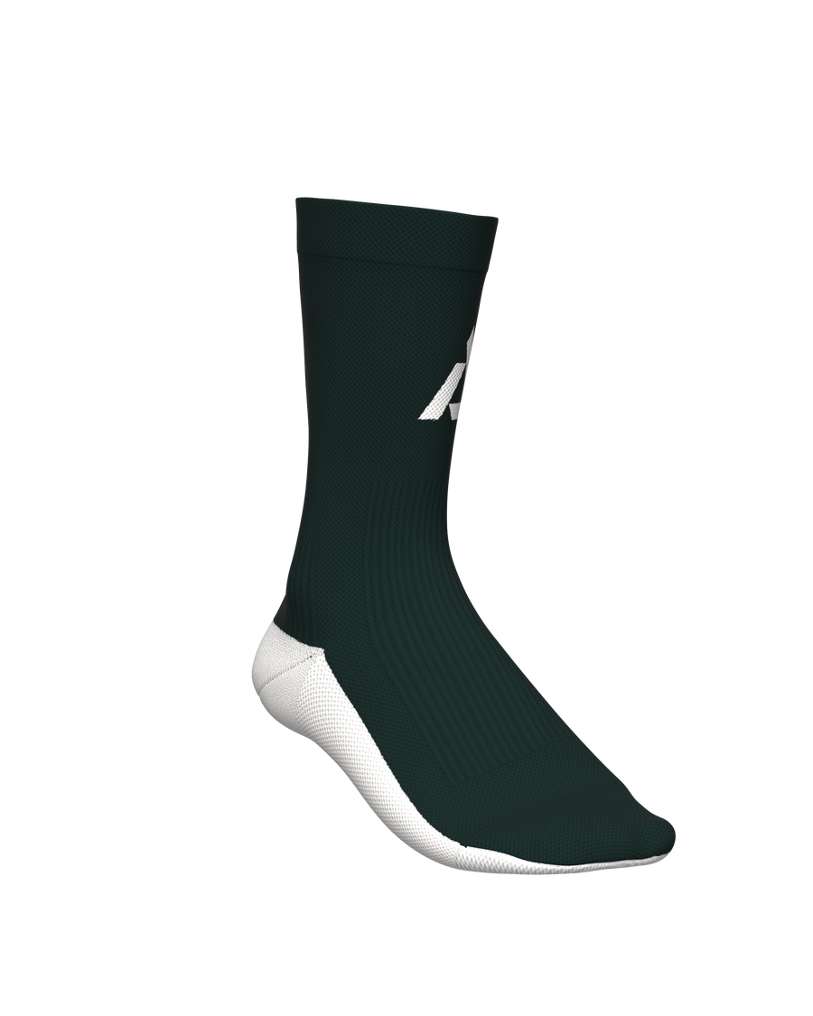 ALL TRACKS MOTION FOREST