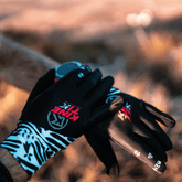 Gloves BZH